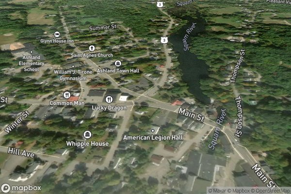 roof moss and algae removal in Ashland NH 03217 - Aerial View