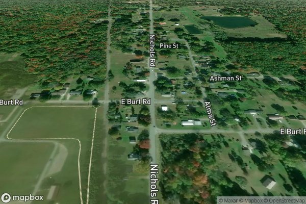 roof moss and algae removal in Burt MI 48417 - Aerial View