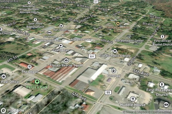 roof moss and algae removal in Florala AL 36442 - Aerial View