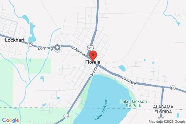 roof moss and algae removal in Florala AL 36442 - Roadmap