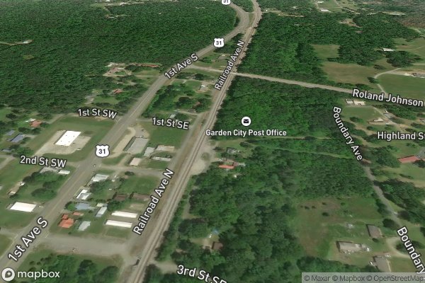 roof moss and algae removal in Garden City AL 35070 - Aerial View