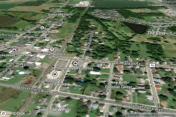 roof moss and algae removal in Greenwood DE 19950 - Aerial View