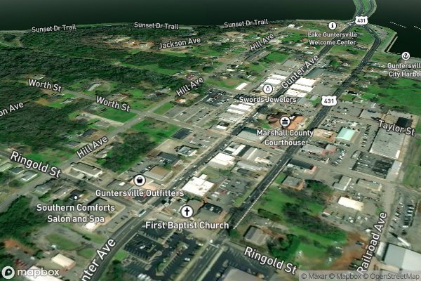 roof moss and algae removal in Guntersville AL 35976 - Aerial View