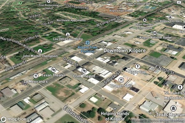 roof moss and algae removal in Kilgore TX 75662 - Aerial View