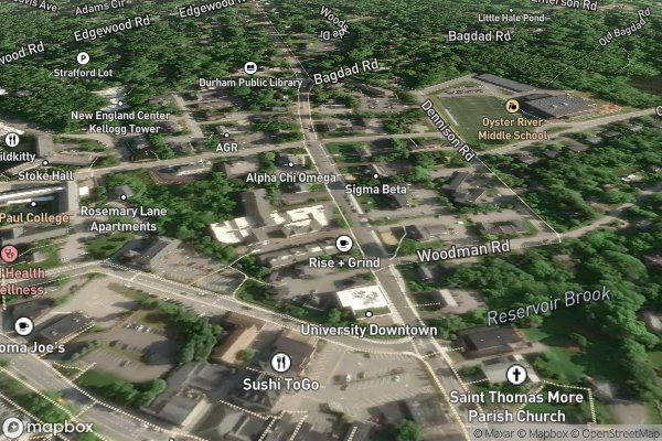 roof moss and algae removal in Madbury NH 03823 - Aerial View