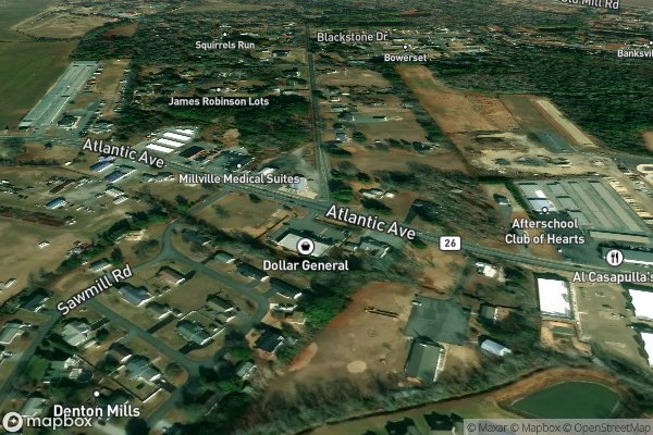 roof moss and algae removal in Millville DE 19967 - Aerial View