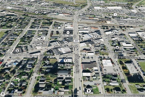 roof moss and algae removal in Monroe WA 98272 - Aerial View