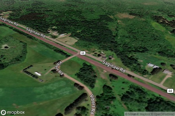 roof moss and algae removal in Saginaw MN 55779 - Aerial View