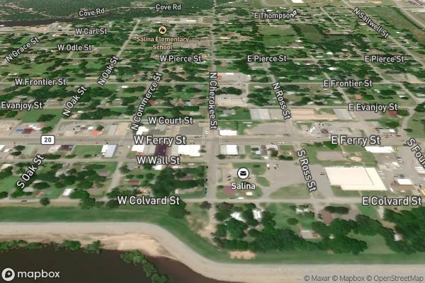 roof moss and algae removal in Salina OK 74365 - Aerial View