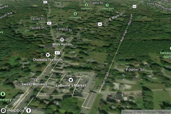 roof moss and algae removal in Salisbury CT 06068 - Aerial View