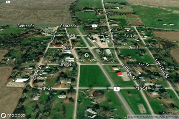 roof moss and algae removal in Turney MO 64493 - Aerial View