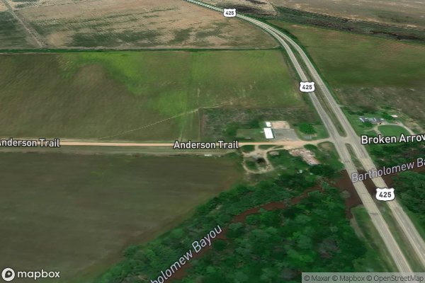 roof moss and algae removal in Yorktown AR 71678 - Aerial View